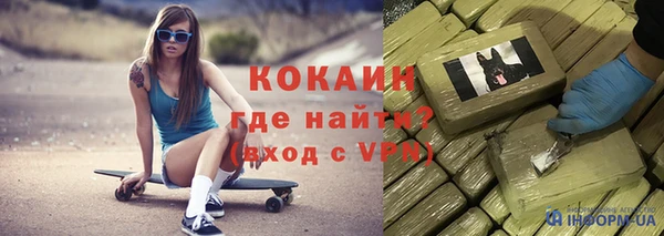 твердый Краснослободск