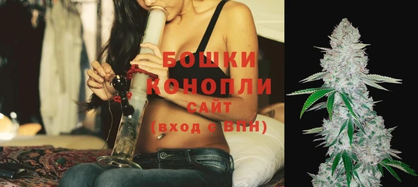 ГАЛЛЮЦИНОГЕННЫЕ ГРИБЫ Куйбышев