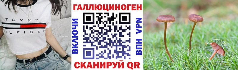 Галлюциногенные грибы ЛСД  купить наркоту  Малгобек 